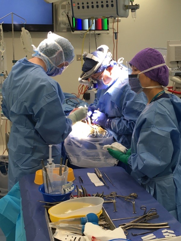 Australians combined to offer Maria lifesaving surgery Children